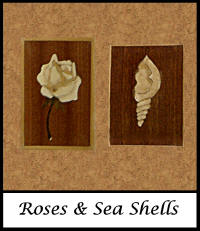 Roses & Sea Shells