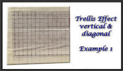 Trellis effect example 1