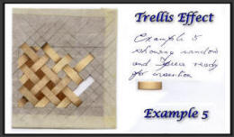 Trellis effect example 5