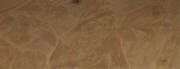 maple burr124