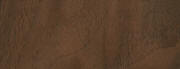 walnut european107