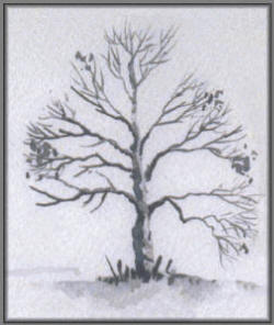 winter_tree_original_pic_v1_72