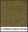 Cypress green burr - Liriodendron Tulipefera