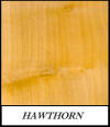 Hawthorn - Crataegus Oxyacantha