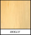 Holly - Ilex Aquifolium