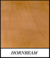 Hornbeam - Carpinus Betulus
