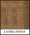 Laurel Indian - Terminalia Tomentosa