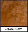 Maidu burr - Pterocarpus Pedatus