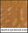 Maple Queensland - Flindersia Brayleyana