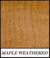 Maple Weathered - Acer Saccharum