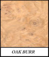 Oak burr - Quercus Robur