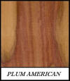 Plum American - no further info