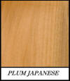 Plum Japanese - Prunus Japonica
