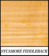 Sycamore fiddleback - Acer Pseudoplatanus