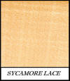 Sycamore lace - Acer Pseudoplatanus
