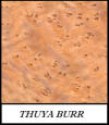 Thuya burr - Tetraclinis Articulata