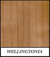 Wellingtonia - Sequoia Sempervirens