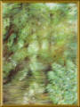 A quiet stream