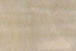maple_veneer_treated72